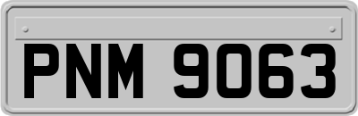 PNM9063