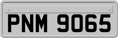 PNM9065