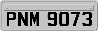 PNM9073