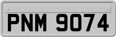 PNM9074