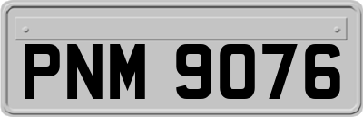 PNM9076