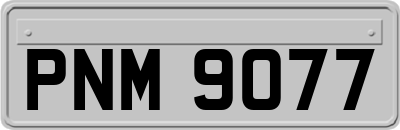 PNM9077