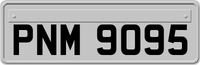 PNM9095