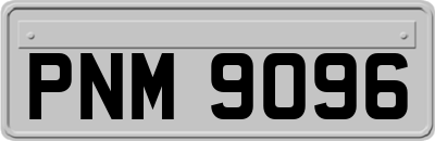 PNM9096