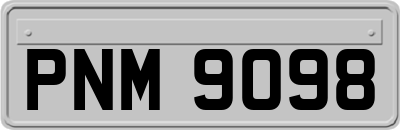 PNM9098