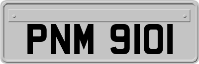 PNM9101