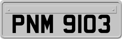 PNM9103