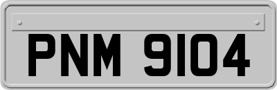 PNM9104