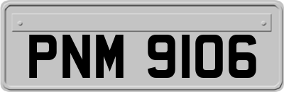 PNM9106