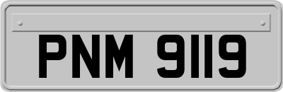PNM9119