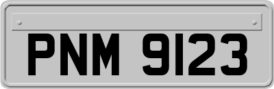 PNM9123