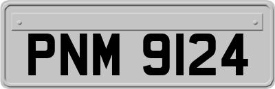 PNM9124