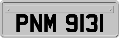 PNM9131