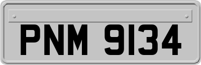 PNM9134