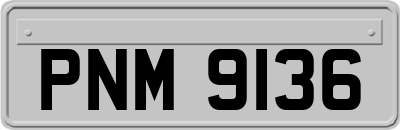 PNM9136