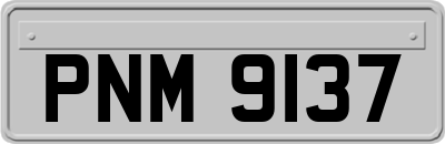 PNM9137