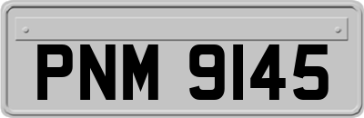 PNM9145