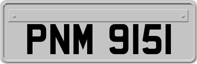 PNM9151