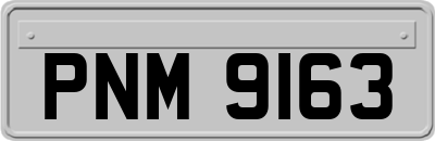 PNM9163