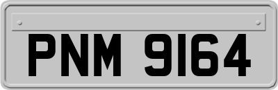 PNM9164