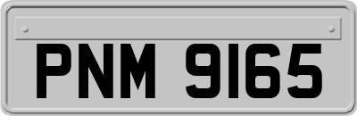 PNM9165