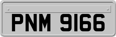 PNM9166