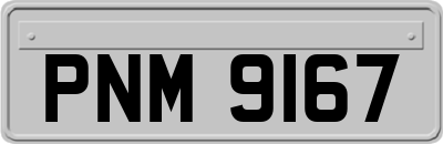 PNM9167