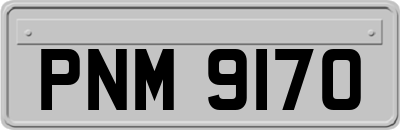 PNM9170