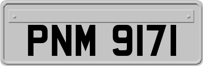 PNM9171
