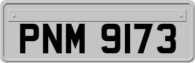 PNM9173