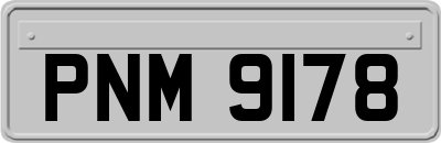 PNM9178