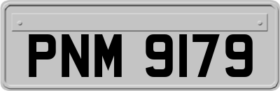 PNM9179