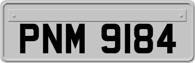PNM9184