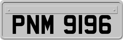 PNM9196