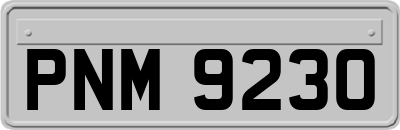 PNM9230