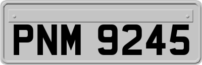 PNM9245