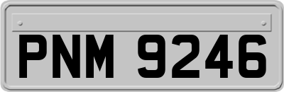 PNM9246