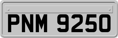 PNM9250