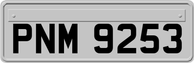 PNM9253