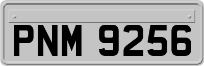 PNM9256