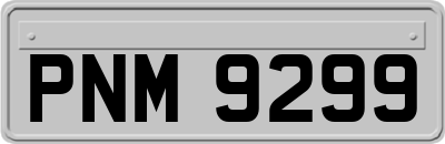 PNM9299