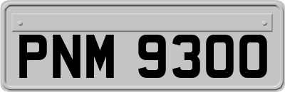PNM9300