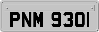 PNM9301