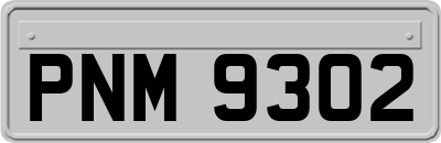 PNM9302