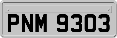 PNM9303