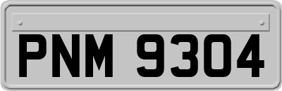 PNM9304