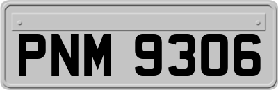 PNM9306