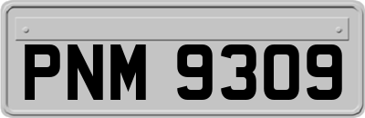 PNM9309