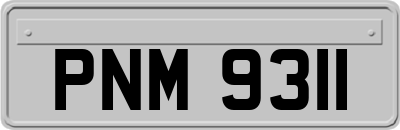 PNM9311