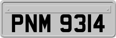 PNM9314
